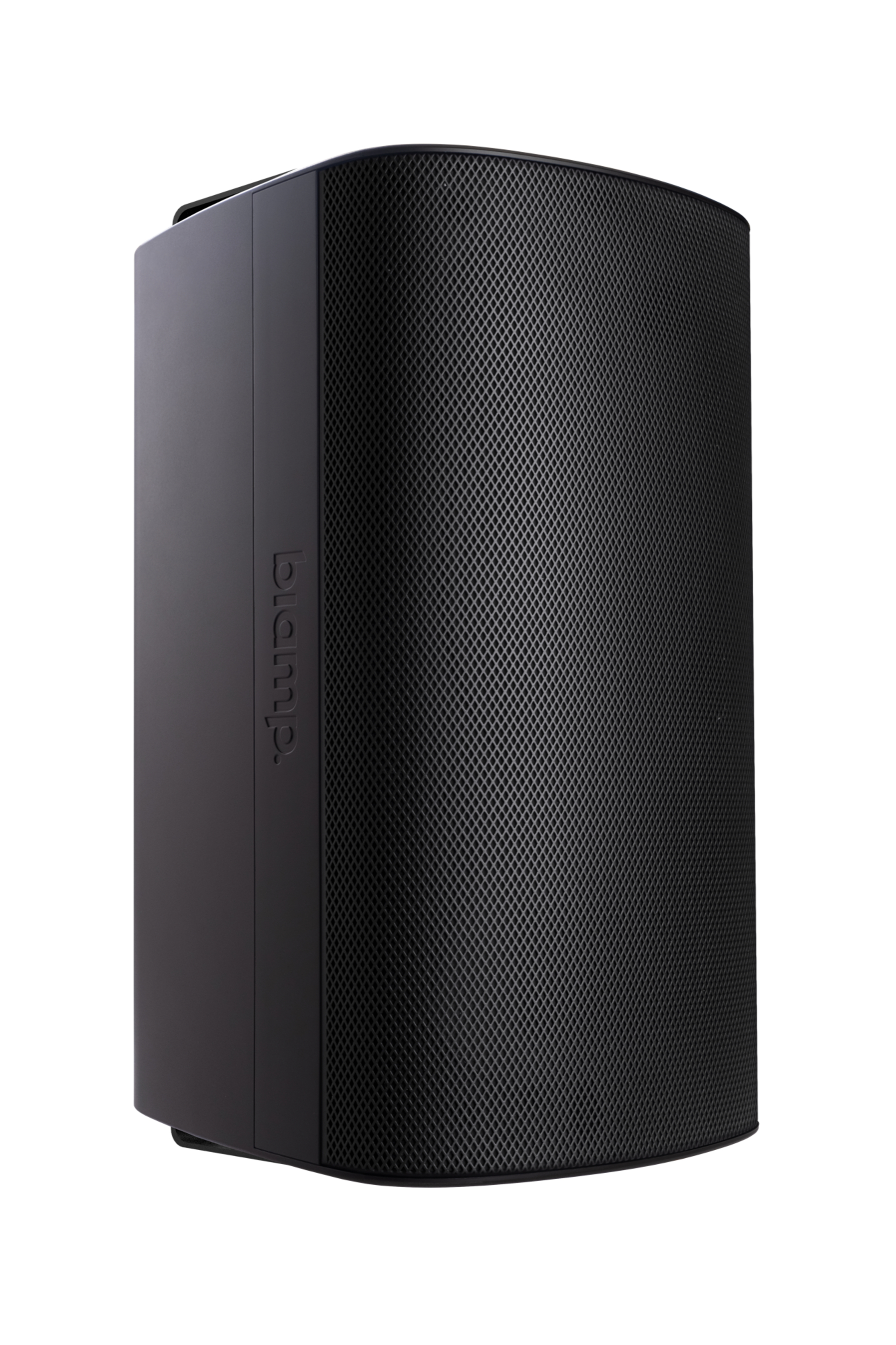 Biamp EX S10 SUB UB - Pasivni vufer